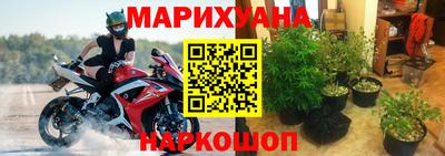 сатива Кулебаки