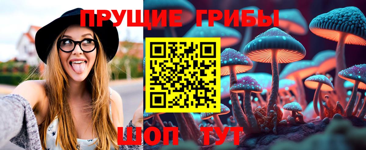 Галлюциногенные грибы GOLDEN TEACHER Ижевск