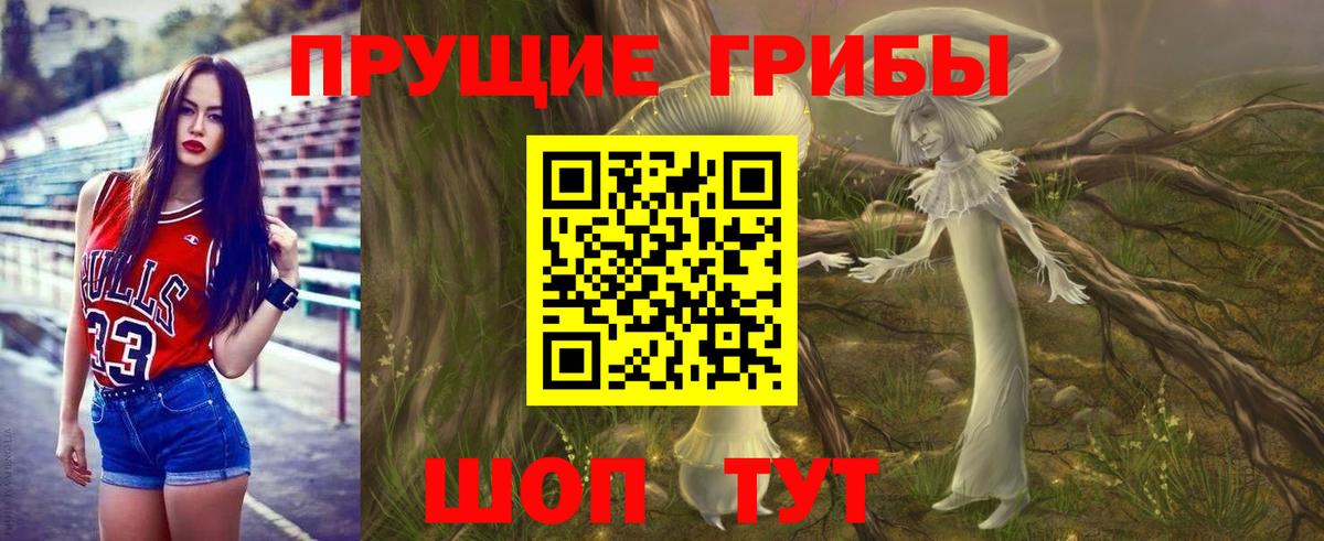 Псилоцибиновые грибы Psilocybe  Псилоцибиновые грибы Psilocybe  купить наркотики цена  Вход с VPN  Ижевск 